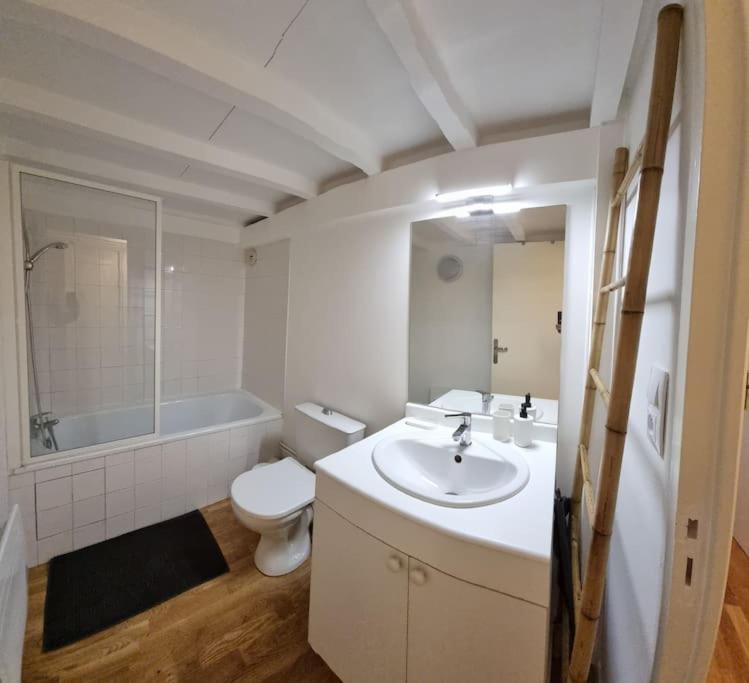 Apartmán T2 Charmant - Hypercentre - Quai De Garonne - Wifi Toulouse Exteriér fotografie